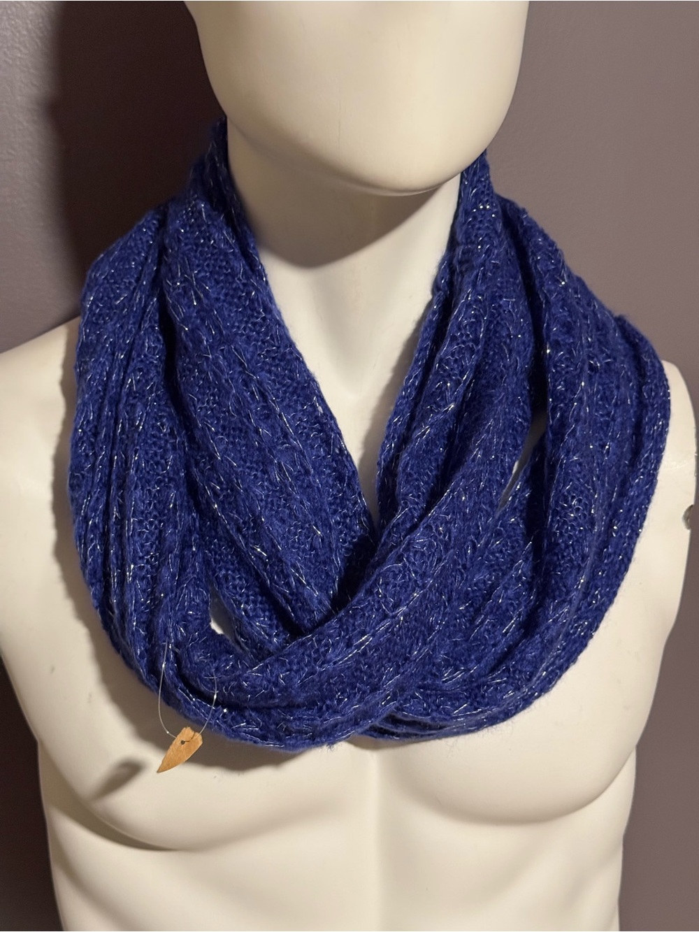 Blue Metallic Knit Infinity Scarf NWT